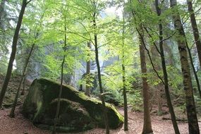 scenic beautiful Adrspach