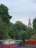 view from the park to big ben