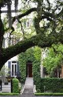 beautiful building facade in Savannah