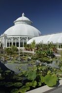 Historical Bronx Greenhouse