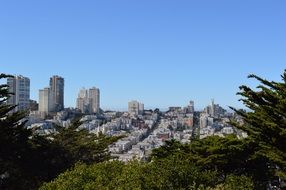 cityscape and colorful plants under the blue sky