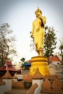 yellow statue in Nan Province