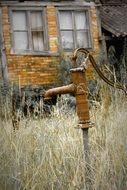 rusty pipe in dry grass