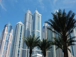 Modern skyscrapers in Dubai