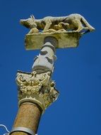 she-wolf sculpture on a column in Italy