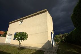 House with tree