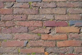 Red Brick Wall close-up