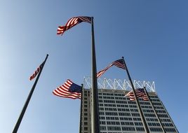 flags on flagpoles near the building