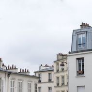 Paris Roofs