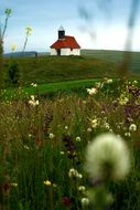 white Church with red roof in the field