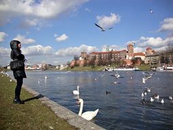 girl in a black jacket and swans on the embankment in Krakow
