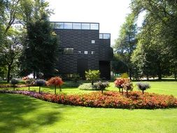 park with flower meadows in sweden