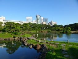 Garden in Tokyo