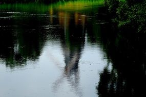 mirror reflection of the park in the water