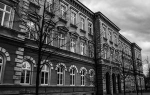 bare Trees in front of old School, czech republic