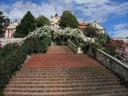 wide stairway to aged Castle, czech republic