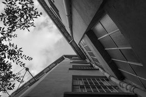 Black and white photo of the building in Lyon in France