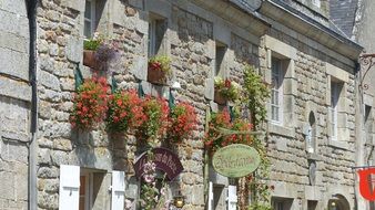 potted flowers on the facade of the building