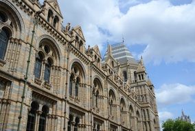 natural history museum in england