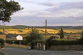 Fields Of Cereals in country
