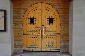 horns on a beautiful ornamental wooden door