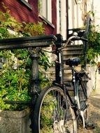 bike on a cozy street