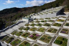 Botany Staircase Garden