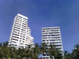 tall white buildings of hotels among palm trees in the caribbean