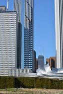 skyscrapers in chicago on a sunny day