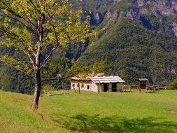 cozy house in the picturesque mountains, Italy, prato