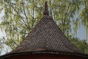 Shingle Roof