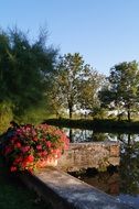 flower decorations by the river