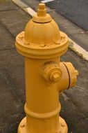 yellow fire hydrant on the road