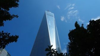 behind the trees world trade center in new york