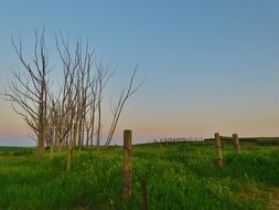 wooden fence among green grass in the countryside