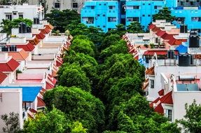 colorful Buildings and trees in city