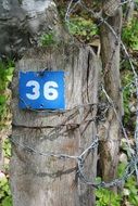 Blue and white House Number 36 on the wood with barbed wire