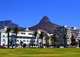 panorama of buildings in Cape Town, South Africa