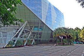 trees near the modern building