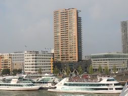 Rotterdam City View