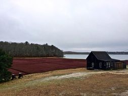 old house near the field