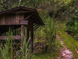 old garden shed
