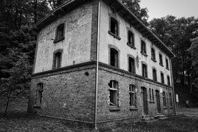 ruins of an abandoned house among nature in black and white image