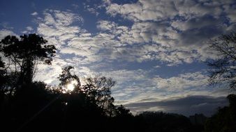 tree silhouettes at cloudy sky at dusk, Brazil, Blumenau