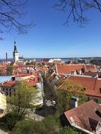 red roofs in Tallinn