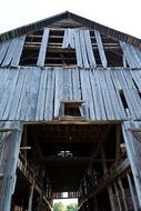 ruined wooden Barn at Farm