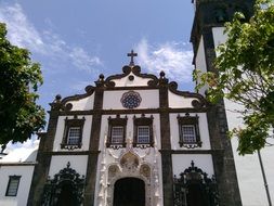 trees near the Church, sao miguel