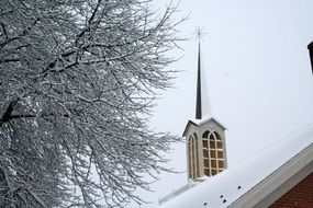 spire of a church near a tree in winter