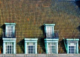 skylights with balconies on a roof