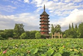 tower near the green field in Huzhou